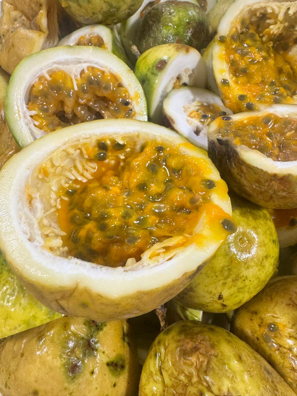 Pulpa de fruta Dorado División